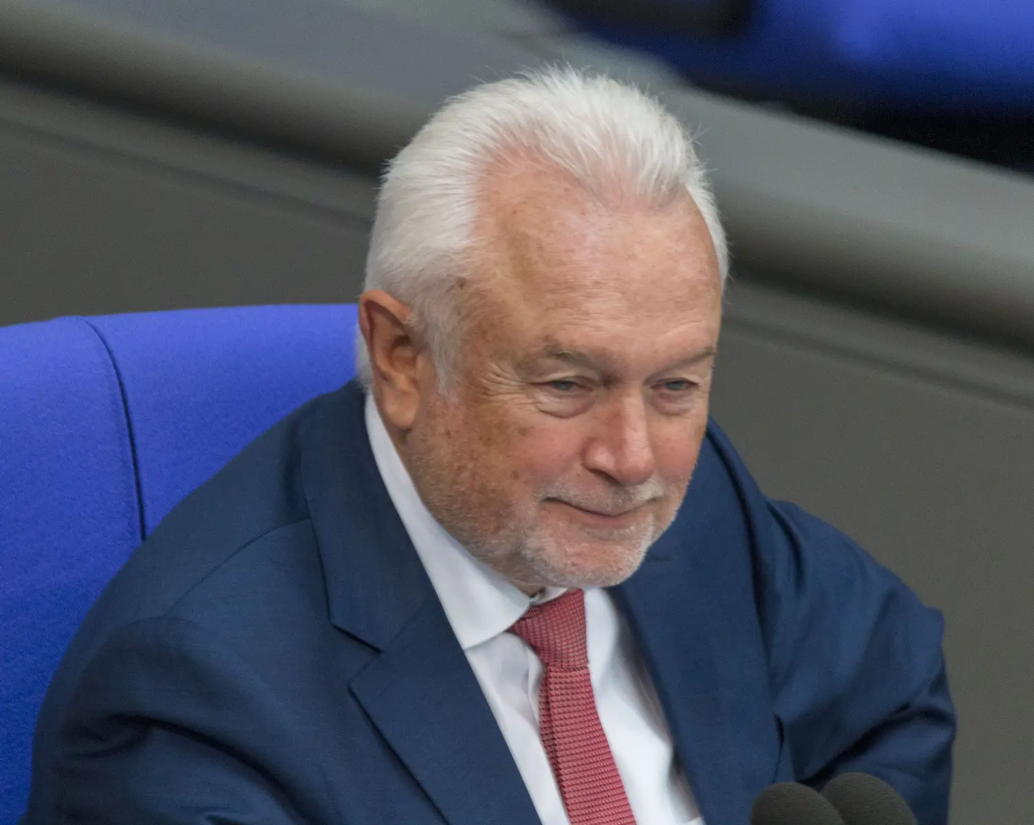 Porträt von Wolfgang Kubicki in einem blauen Anzug mit roter Krawatte.