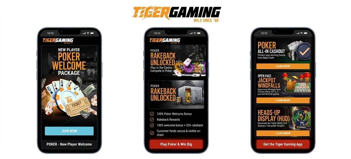 ¿Dónde jugar al póker con dinero real? Top 5 mejores sitios - Tiger Gaming