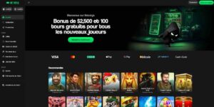 betninja casino
