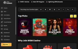 WSM Casino Crypto