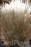 Crystal Sculpture at the Atlantis