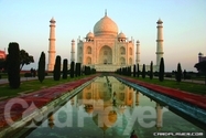 Card Player India Card Player India