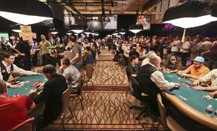 Field Confined To Small Corner Of Amazon Room