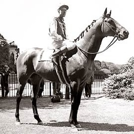 Seabiscuit Seabiscuit