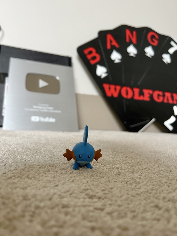 Wolfgang's Card Protector and YouTube Play Button Creator Award Wolfgang's Card Protector and YouTube Play Button Creator Award