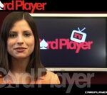 WSOP Update: Events 40 and 41