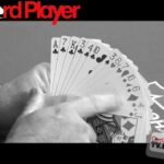 Strategy — Chinese Poker with Tom Schneider pt.1