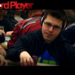 Fish or Ninja — Dan Smith Reviews Your Poker Hand History