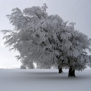 Paddy Power Poker Irish Masters -- Day 1