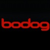 Whitey03 Wins Bodog Poker Open Main Event