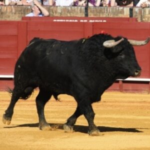 Qualify for Full Tilt Poker España Grand Final Quick