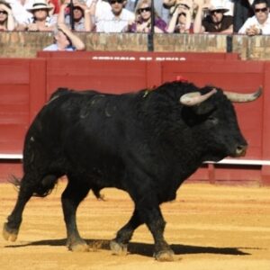 Full Tilt Poker Series España On Its Way