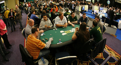 Irish Winter Festival Packages Guaranteed Sunday