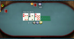 Network And Regulator Suspends 24Poker 