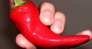 Chilipoker and Poker770 Merge 