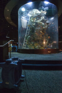 Casino Closes After 13,000 Gallon Aquarium Bursts