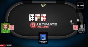 A Look At The Ultimate Poker Software