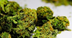 Nevada Casinos Can't Get Into Medicinal Pot Biz