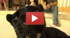 CPTV Classic: High-Stakes Living With Lee Watkinson