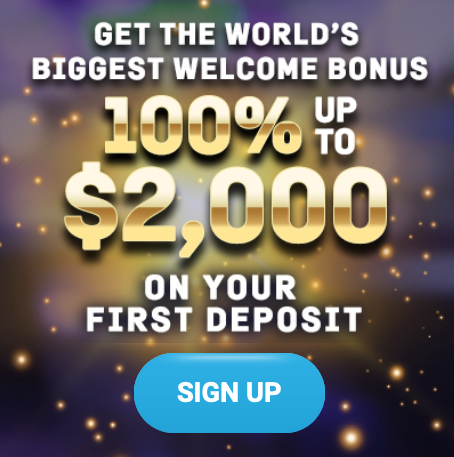 Auto Draft tournament