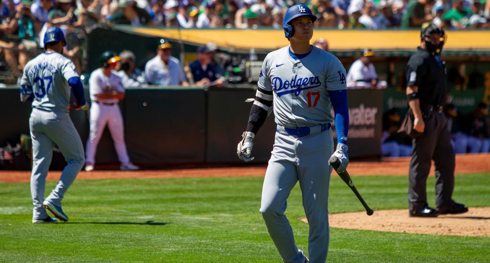 A picture of Shohei Ohtani