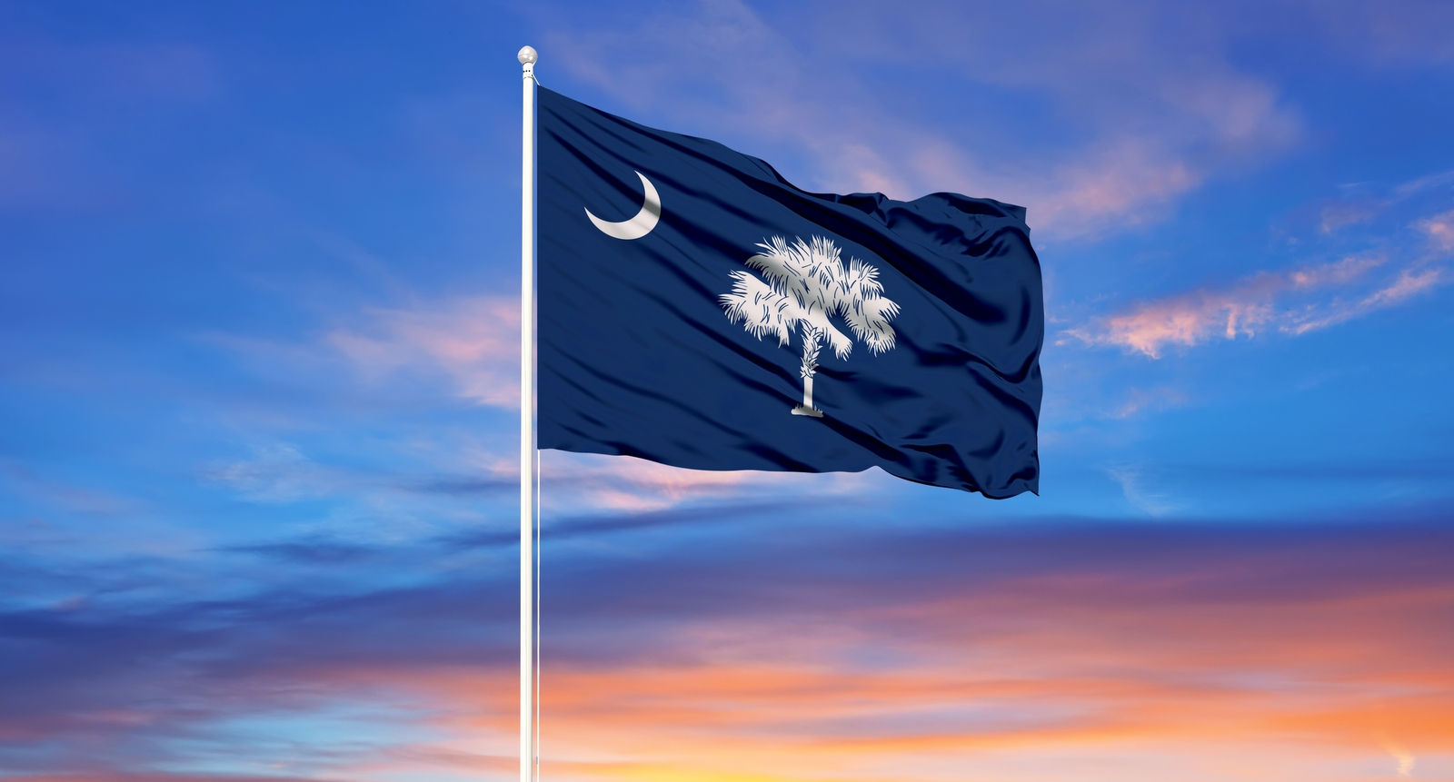 A picture of the South Carolina flag