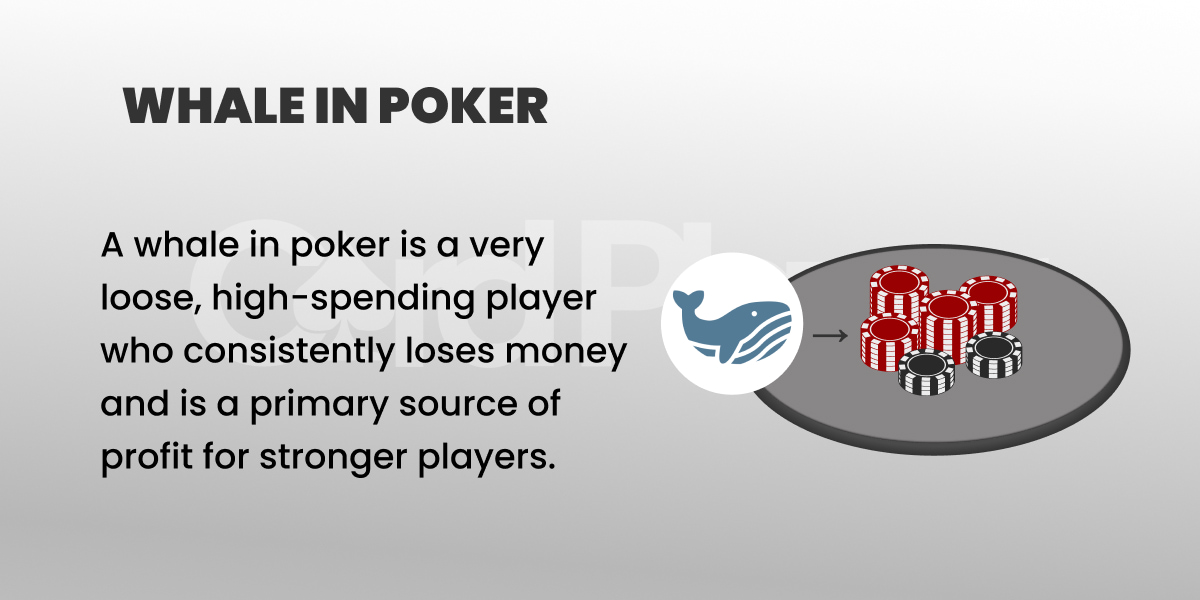 Illustration titled 'Whale in Poker' describes a high-spending, loose player. Includes whale icon pointing to poker chips, symbolizing big losses