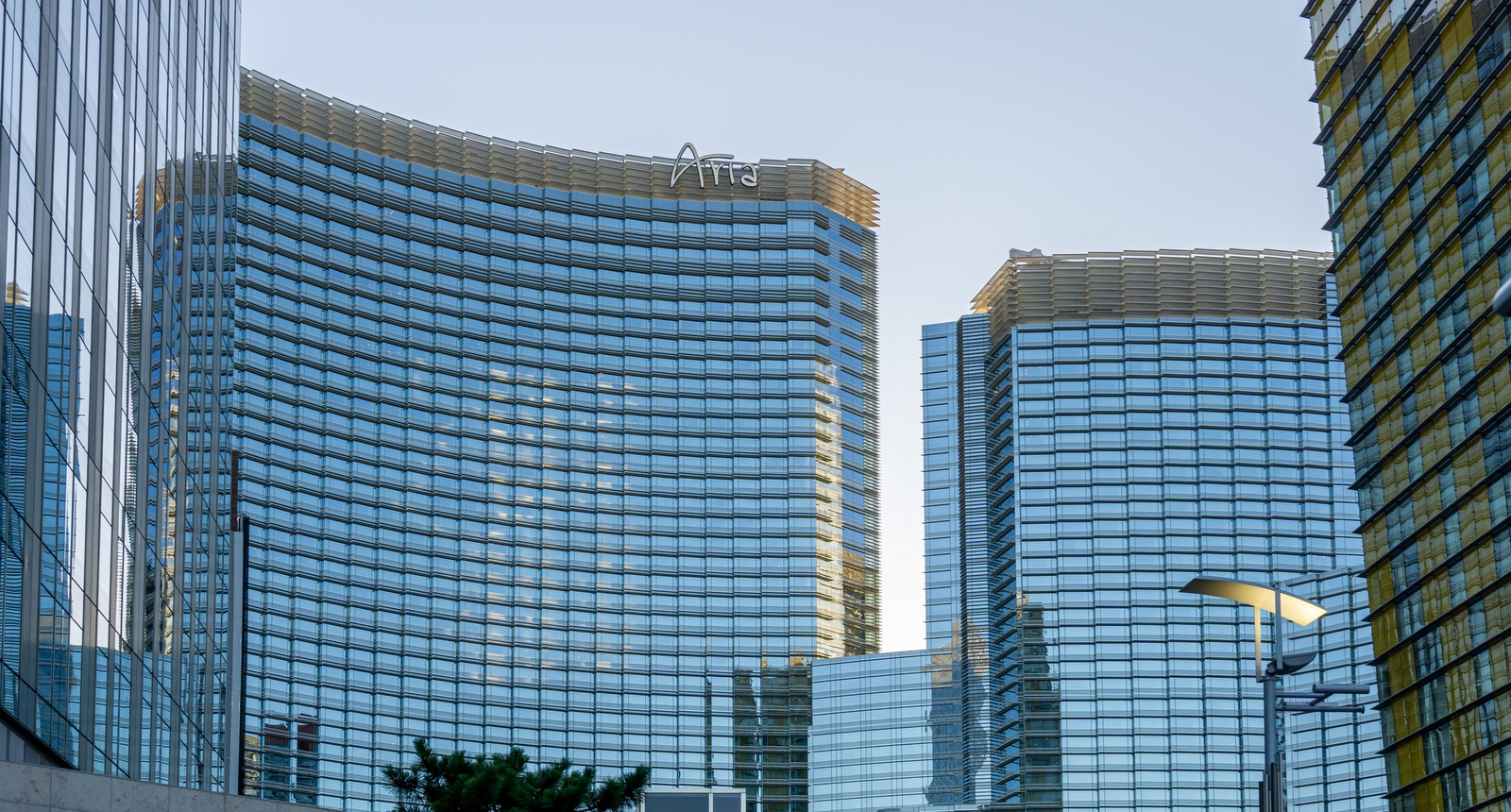 Poker Player Killed By Roommate Over Money Dispute