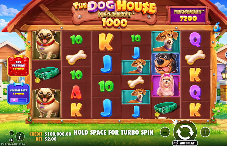 The Dog House Megaways 1000 Slot