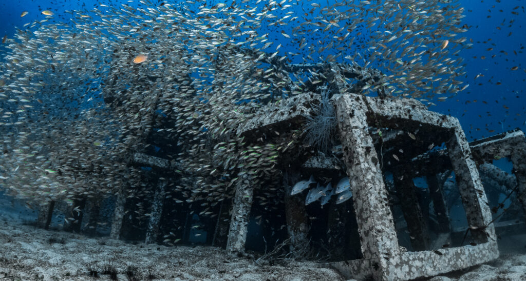 Riverboat Casino Becomes Part Of Alabama's Artificial Reef