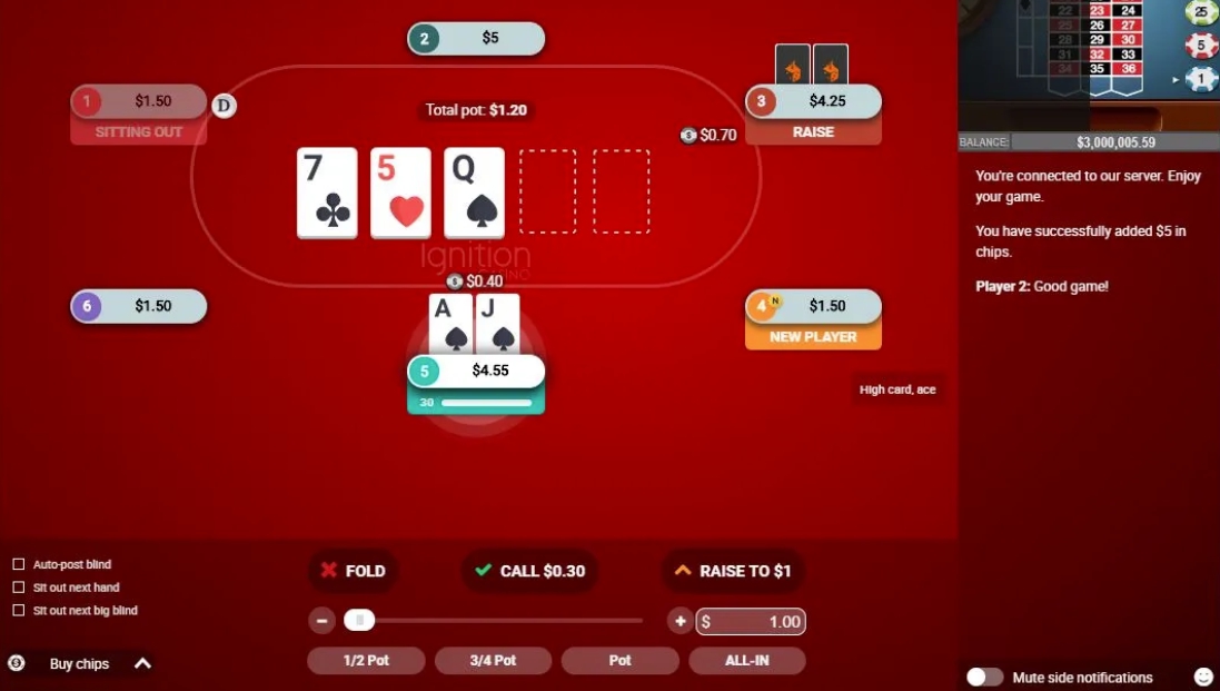 Ignition Poker
